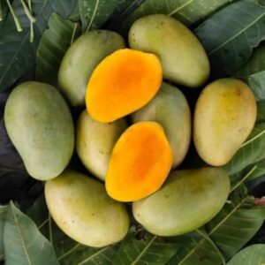 ল্যাংড়া আম